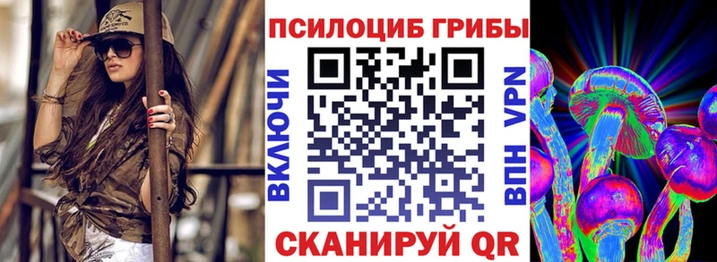 Галлюциногенные грибы MAGIC MUSHROOMS  omg   Малаховка  где купить наркоту 